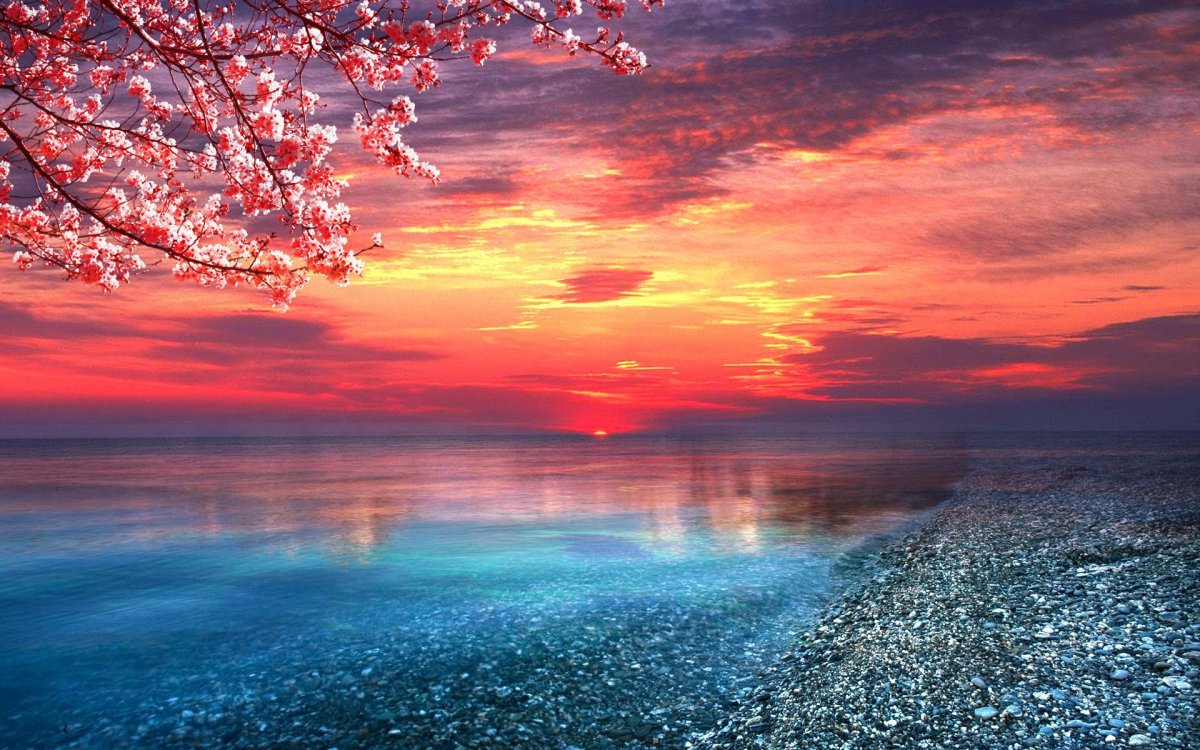 Фон из цветочков