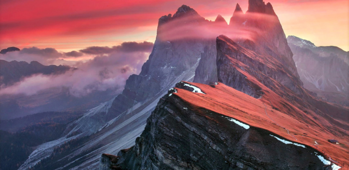 Фламинго принт желтый