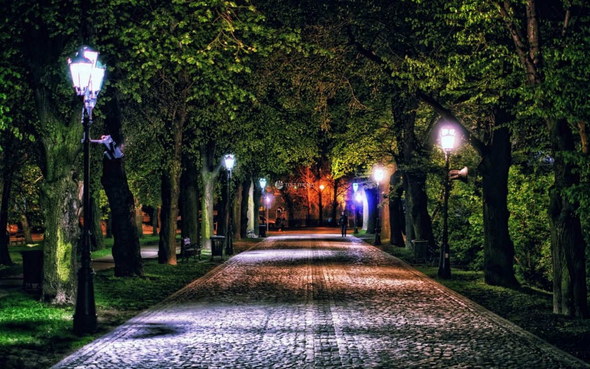 Осень в городе