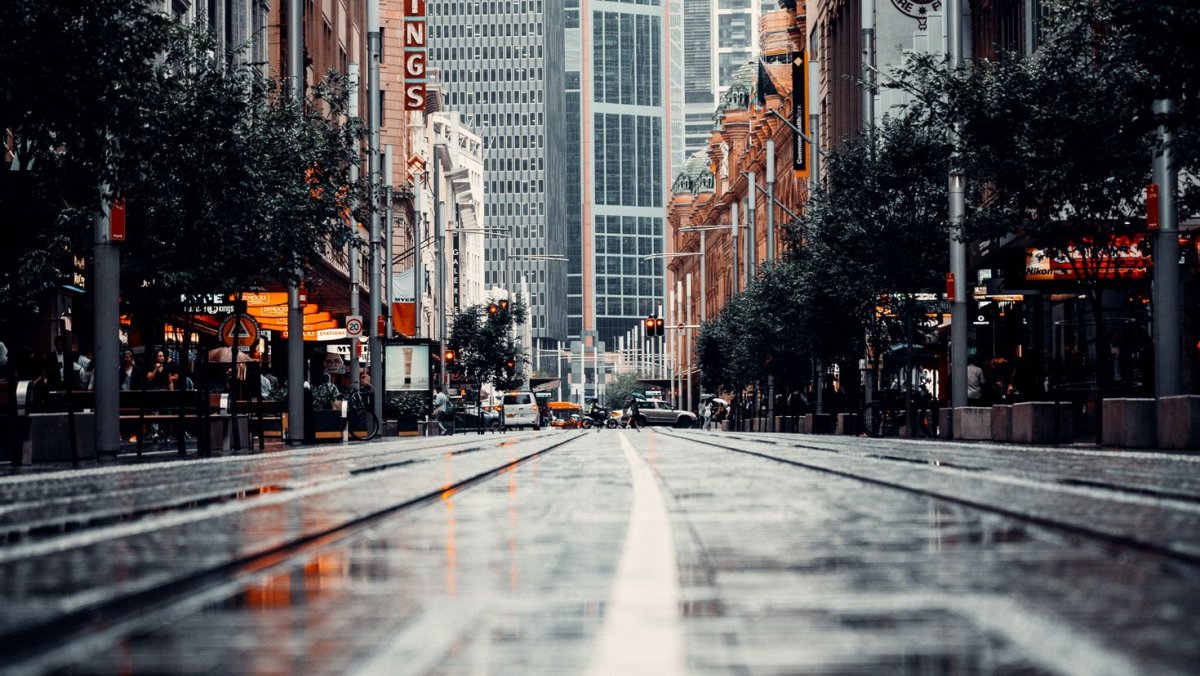 Сакура и дорога аниме