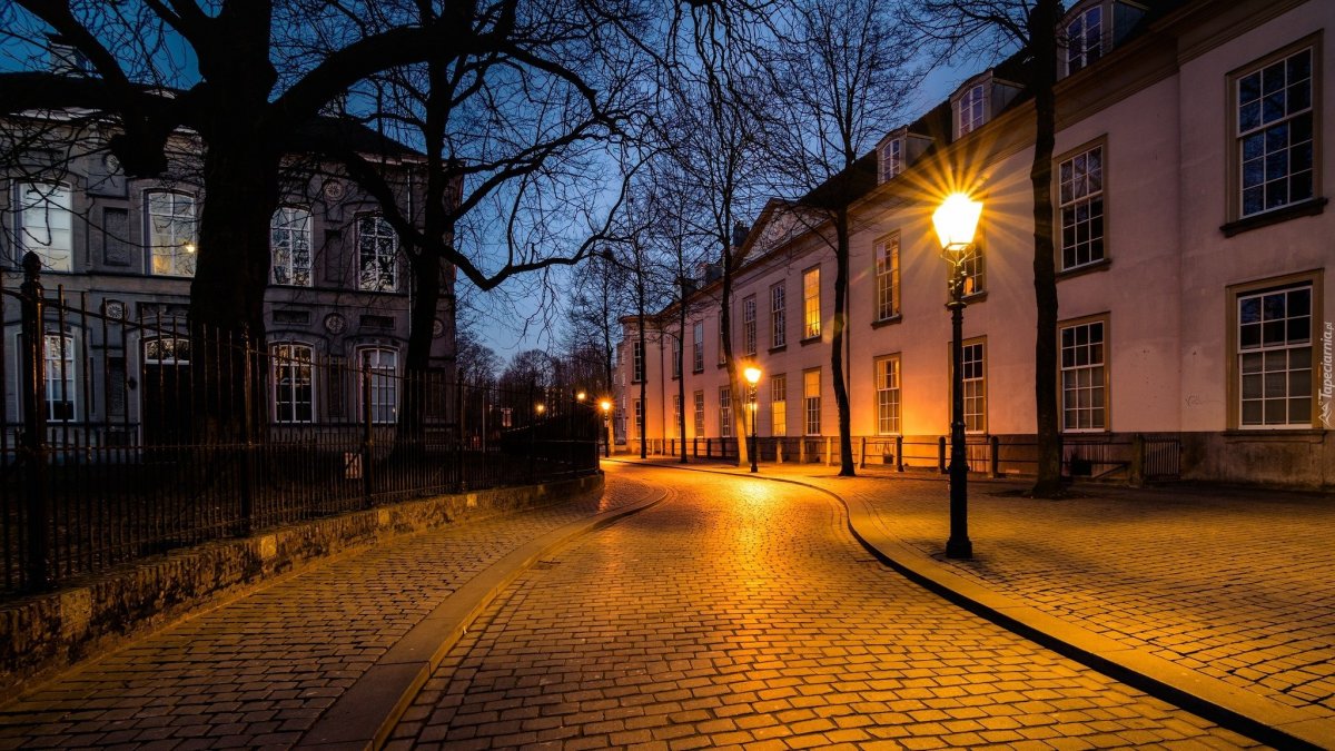 Осень Бруклин Нью Йорк