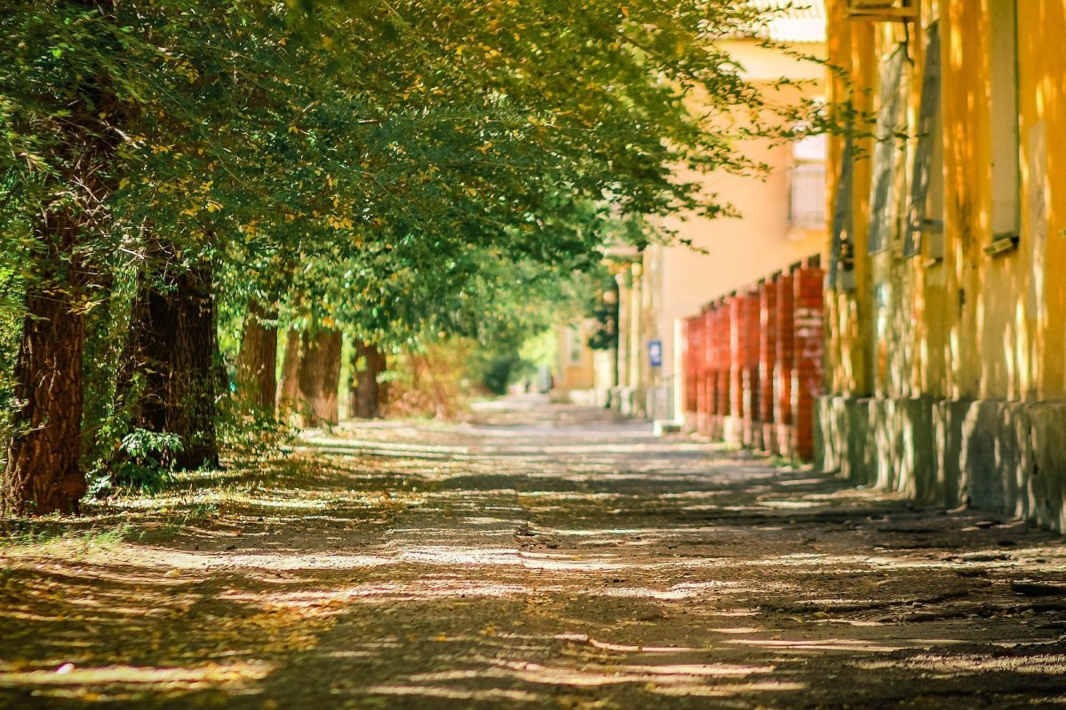 Лавочка Япония парк