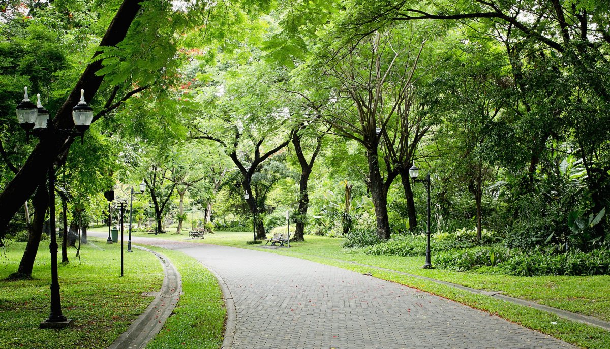 Улица Моконсей Париж