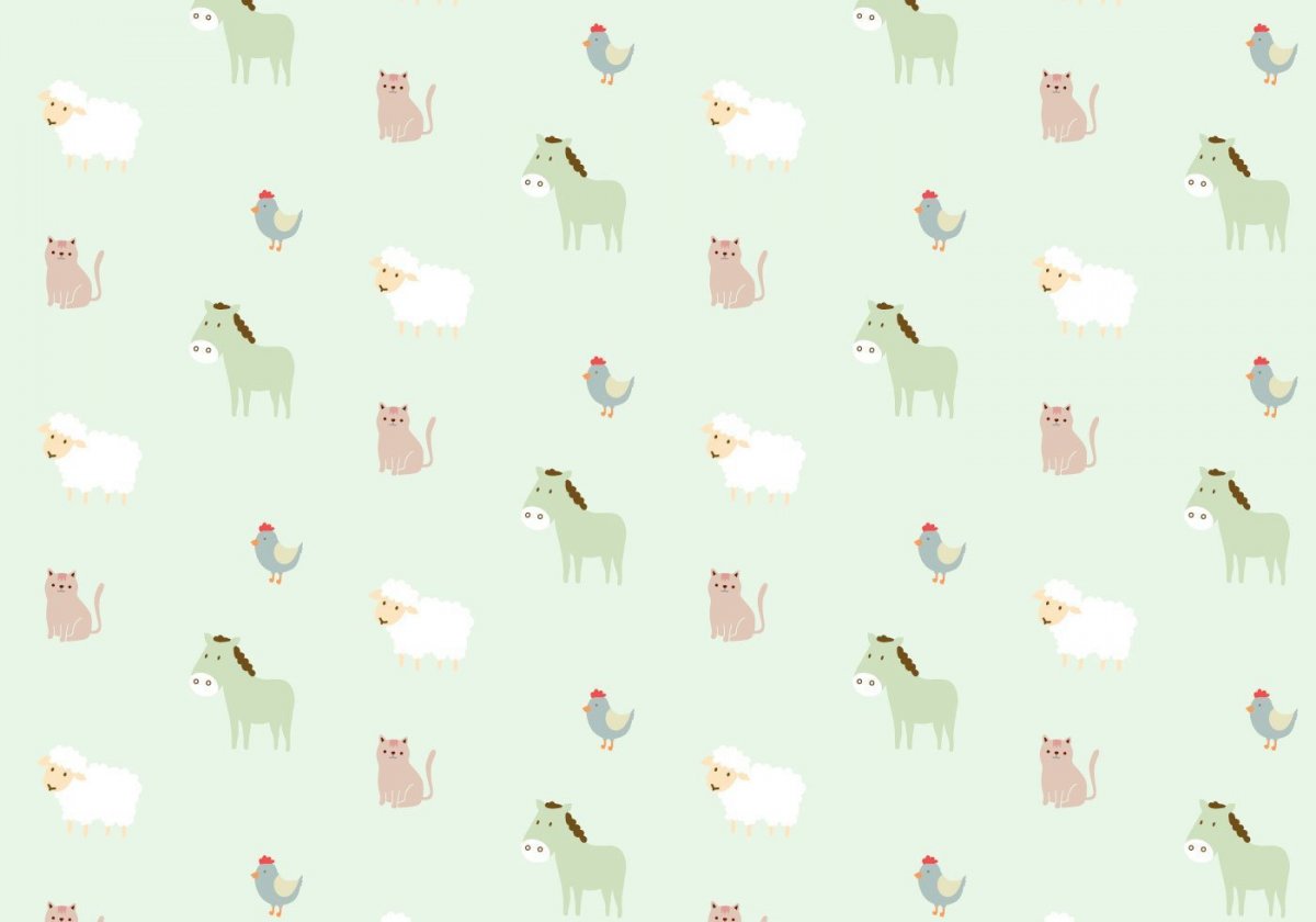 Кошка и собака на белом фоне