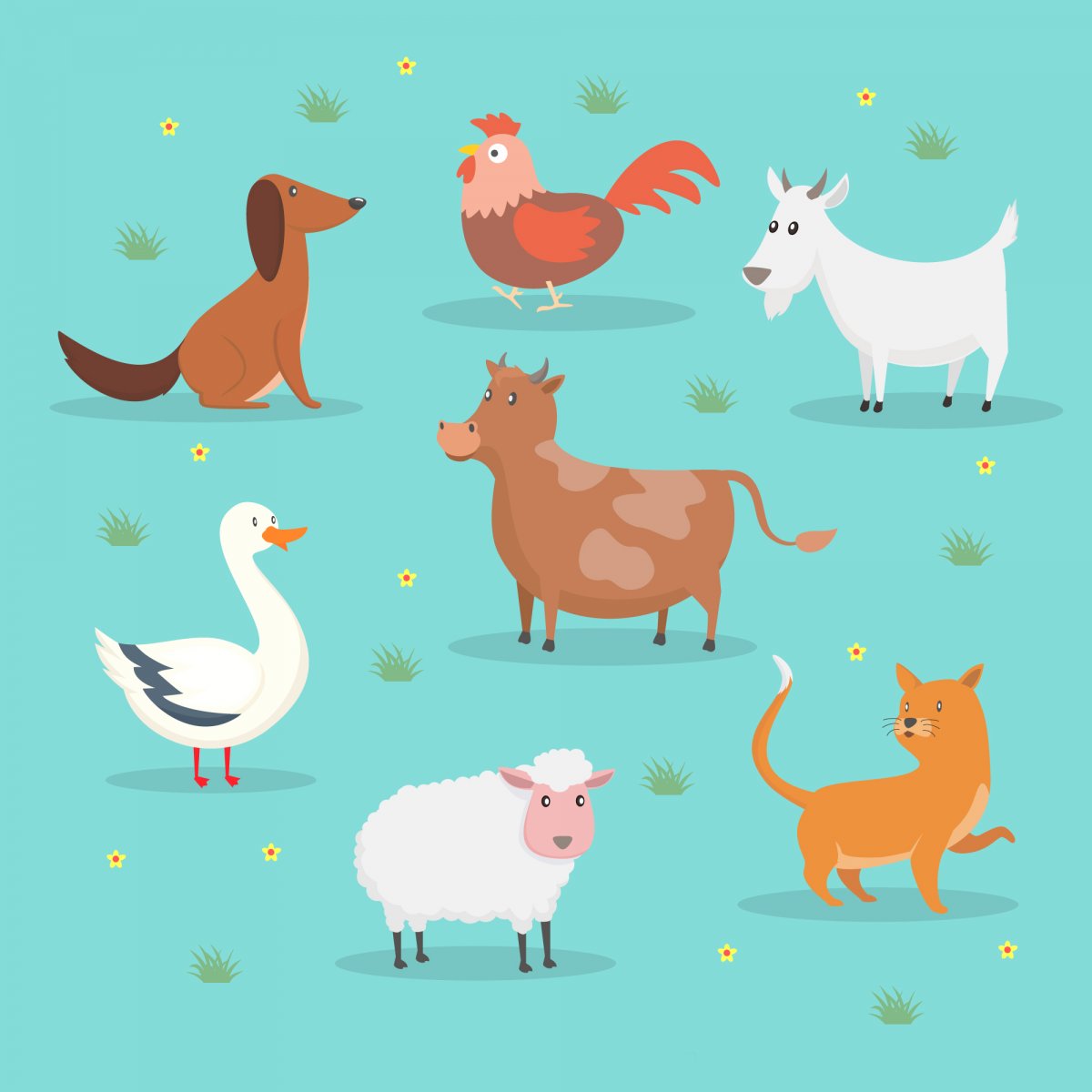 Фон домашние животные