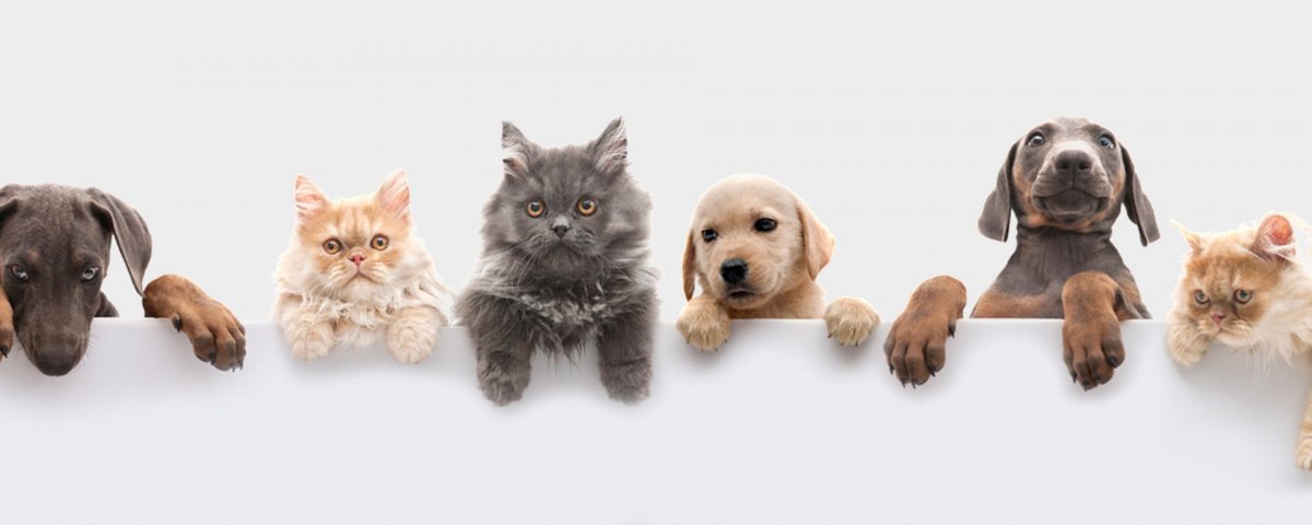 Лужайка с животными