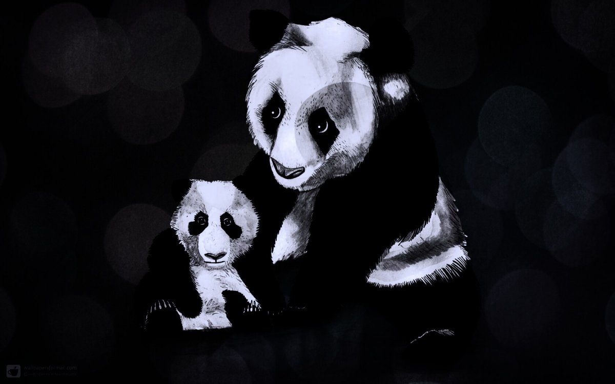 Панда Минимализм