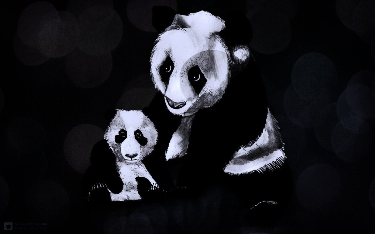 Минимализм на черном фоне