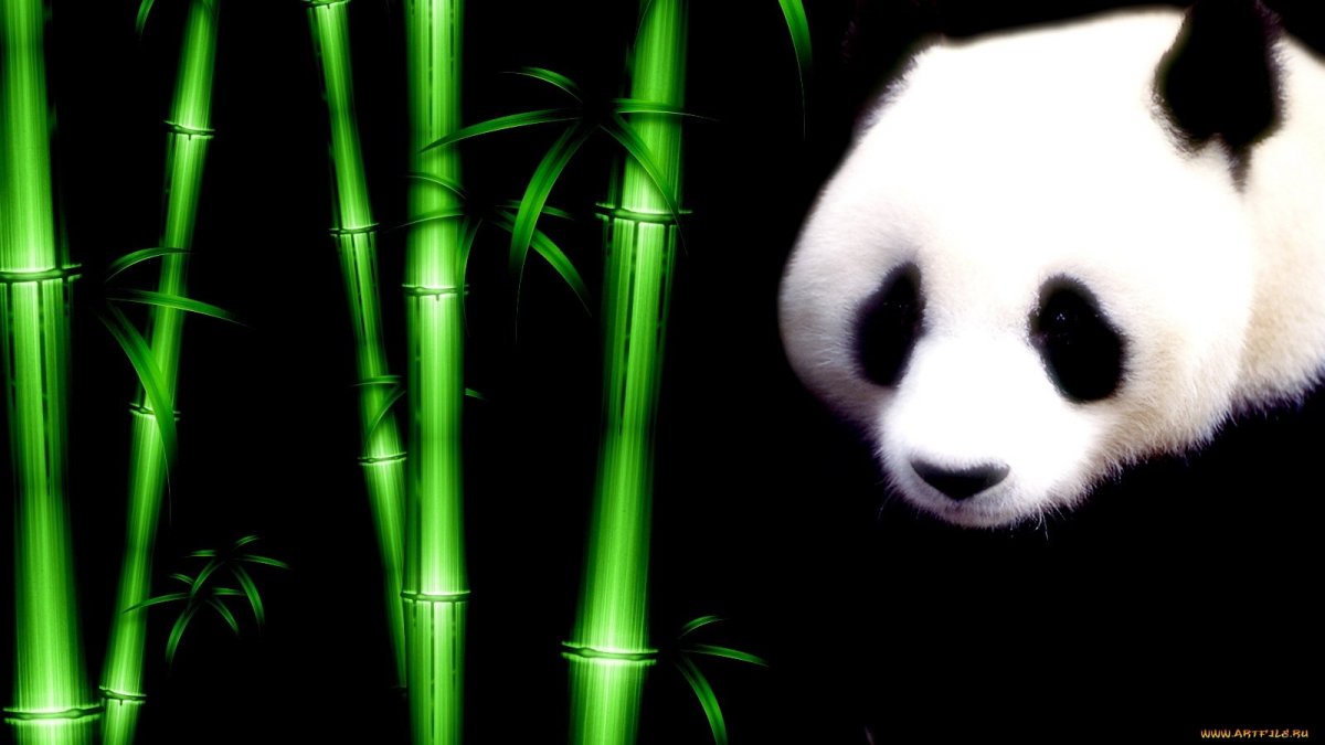 Панда рисунок Минимализм