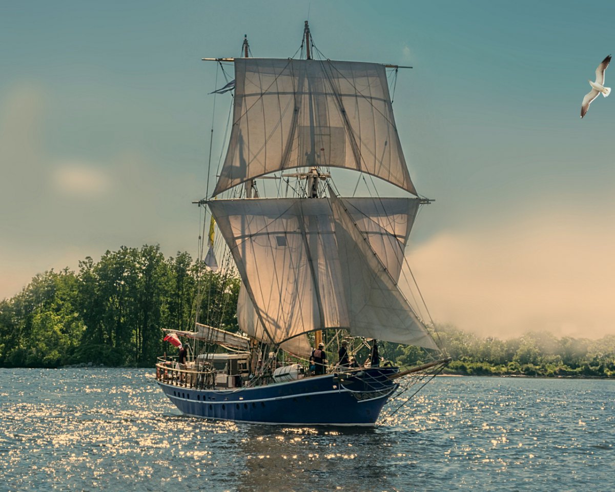 Бреретон Джеймс. Парусники