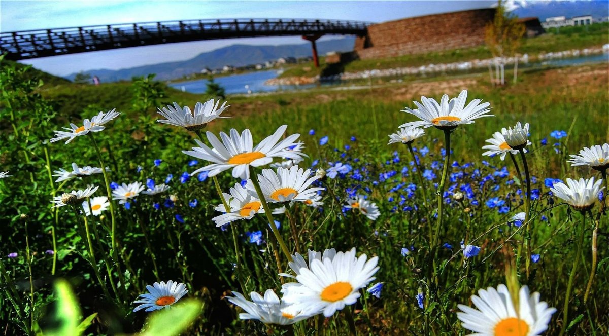 Летние пейзажи природы