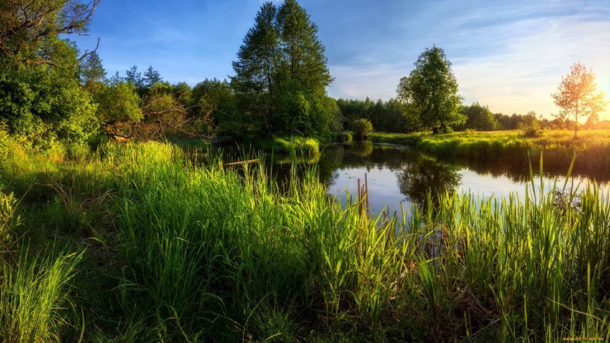 Пейзаж с забором