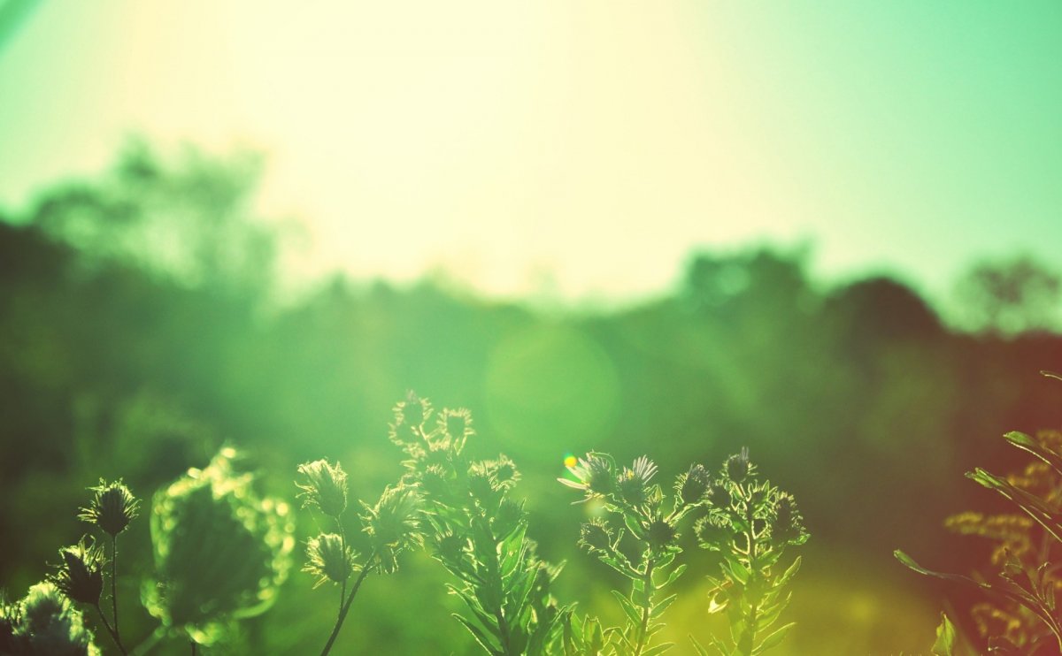 Кантри Роудс