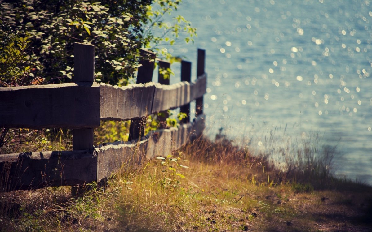 Нежность природа