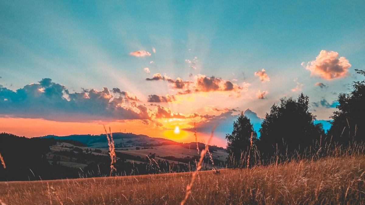 Эстетичная природа