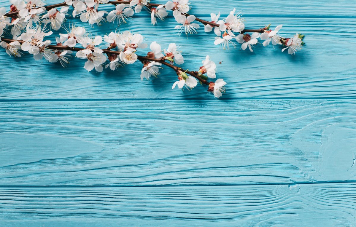 Фон для обложки