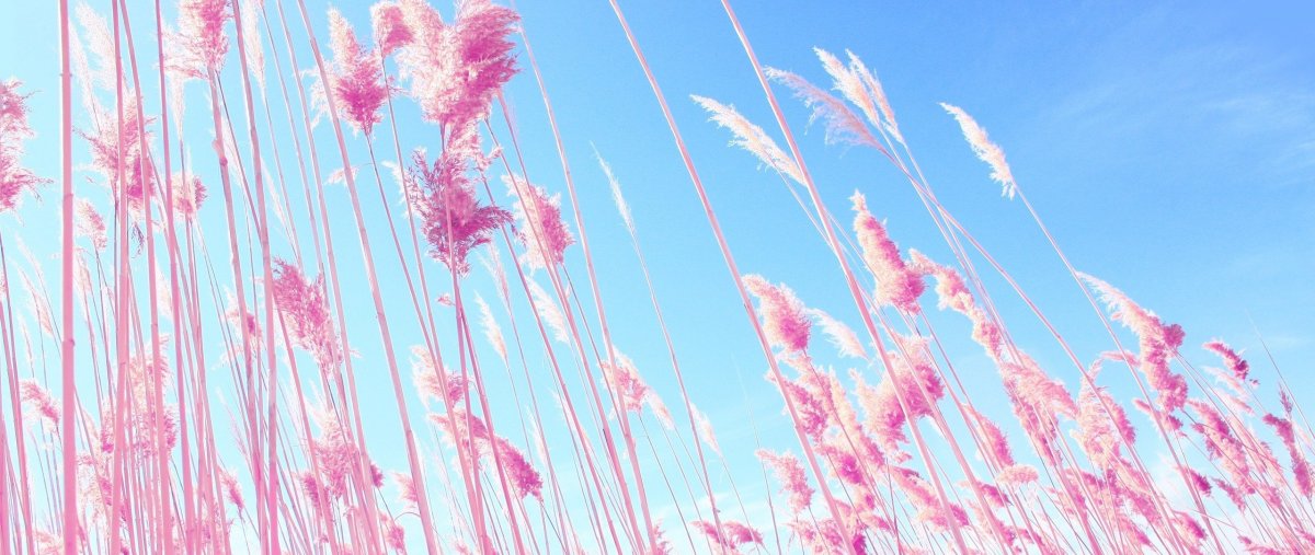 Акварельный фон для фотошопа