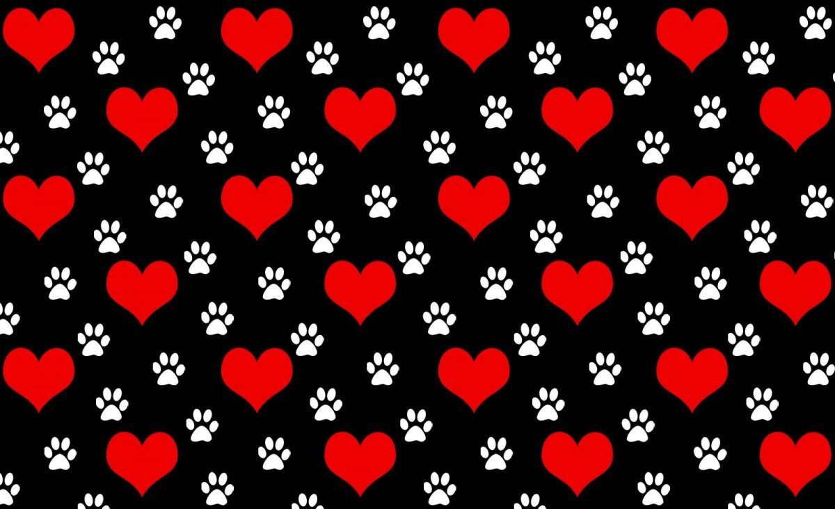 Фон сердечки