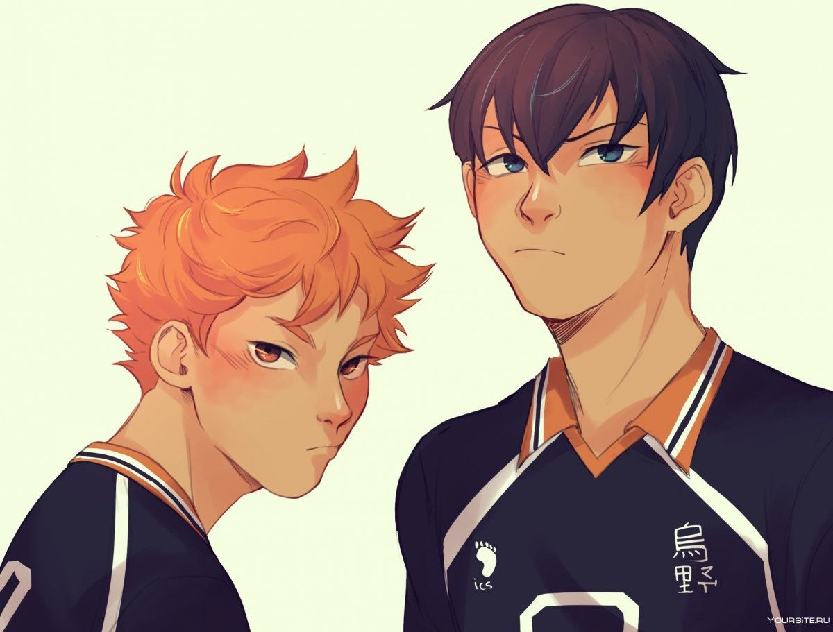 Картинки Сената из волейбола