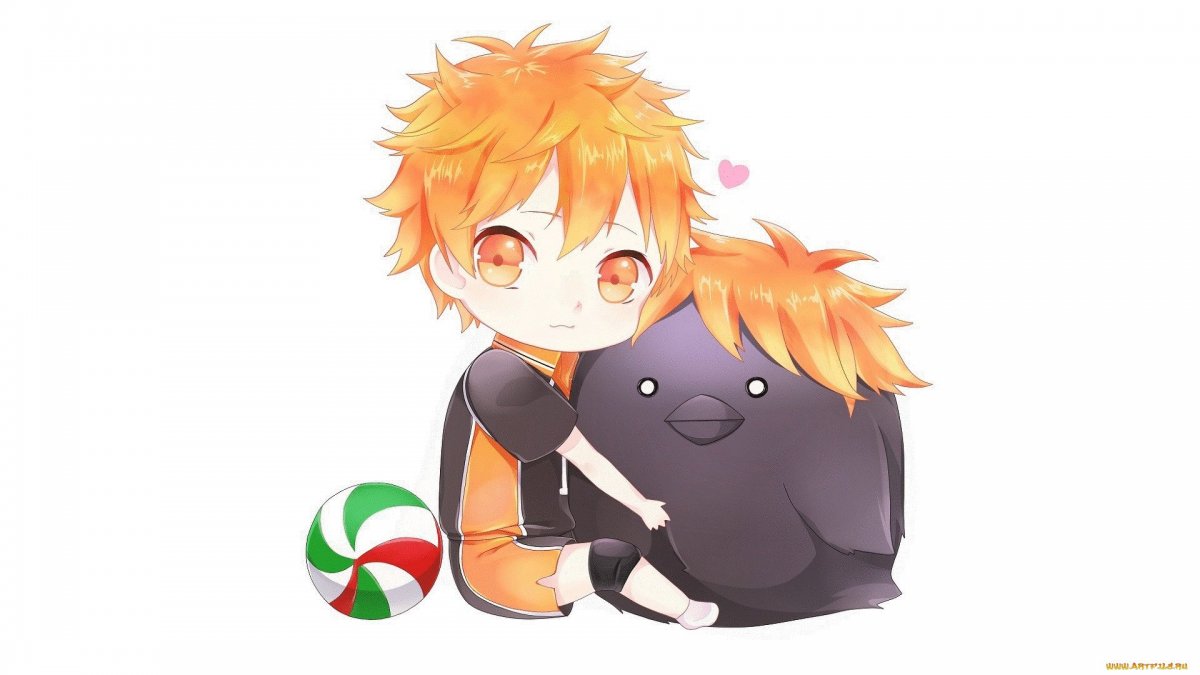 MSBY Haikyuu в шакалах