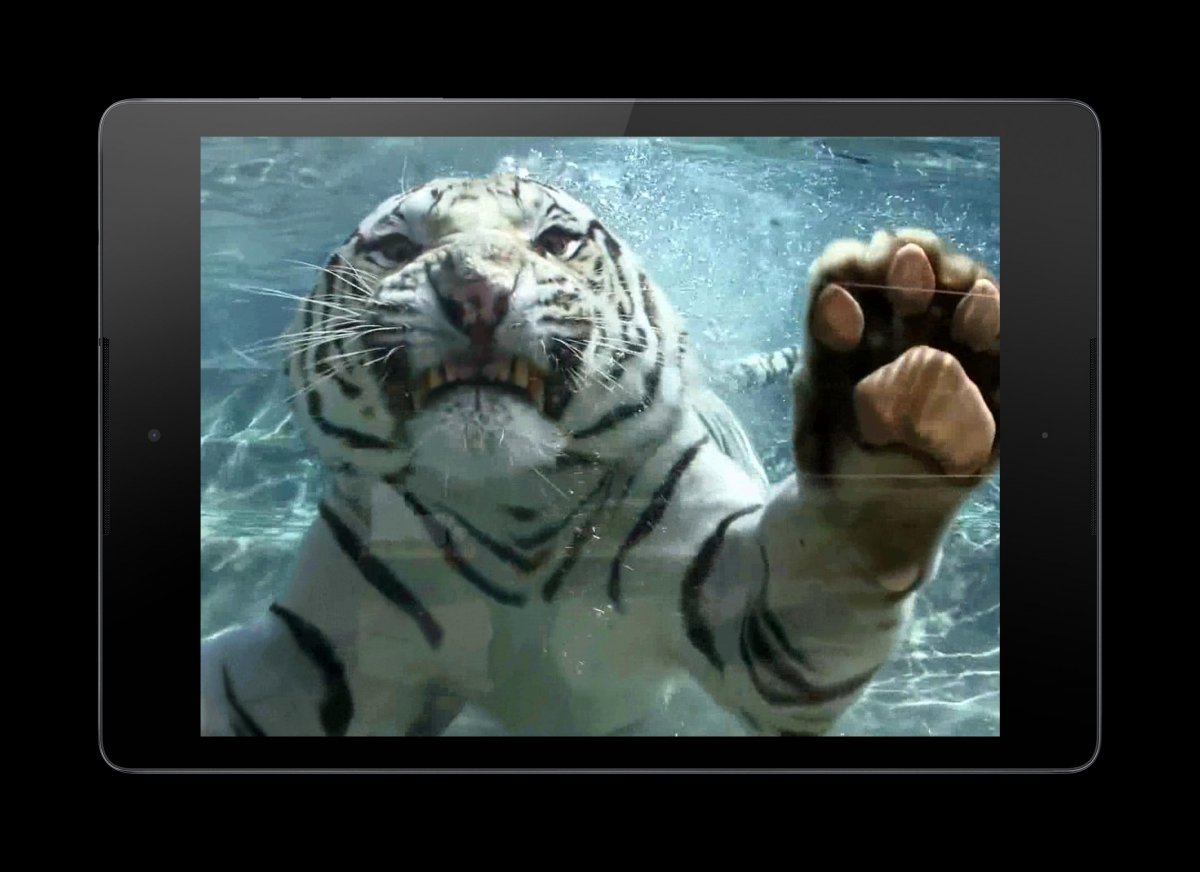 Обои на телефон с тигром на новый год