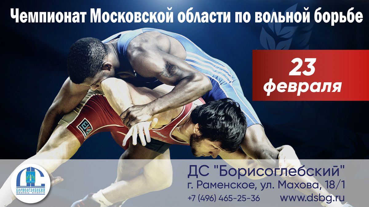 Греко Римская борьба баннер