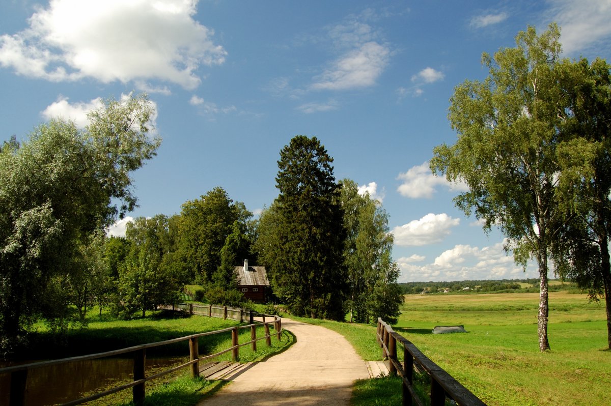 Деревня Колюпаново природа