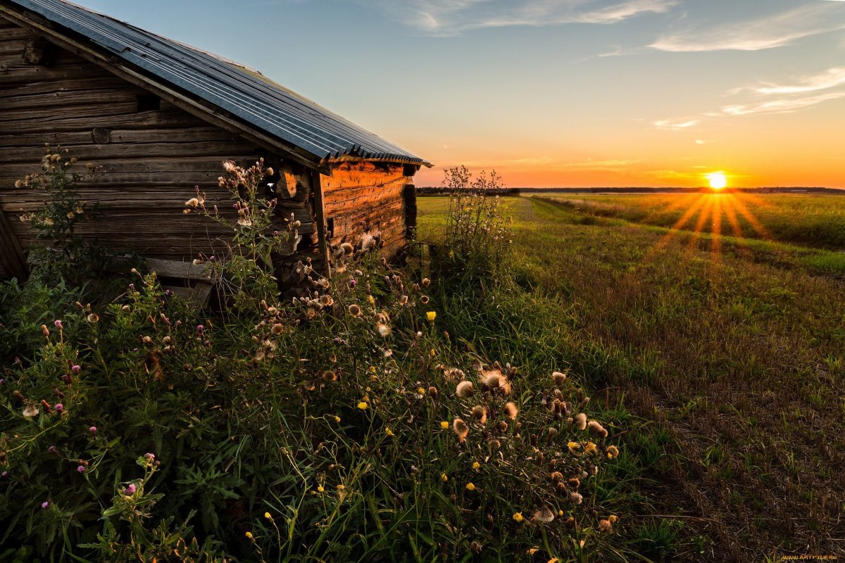 Деревенский Вайб