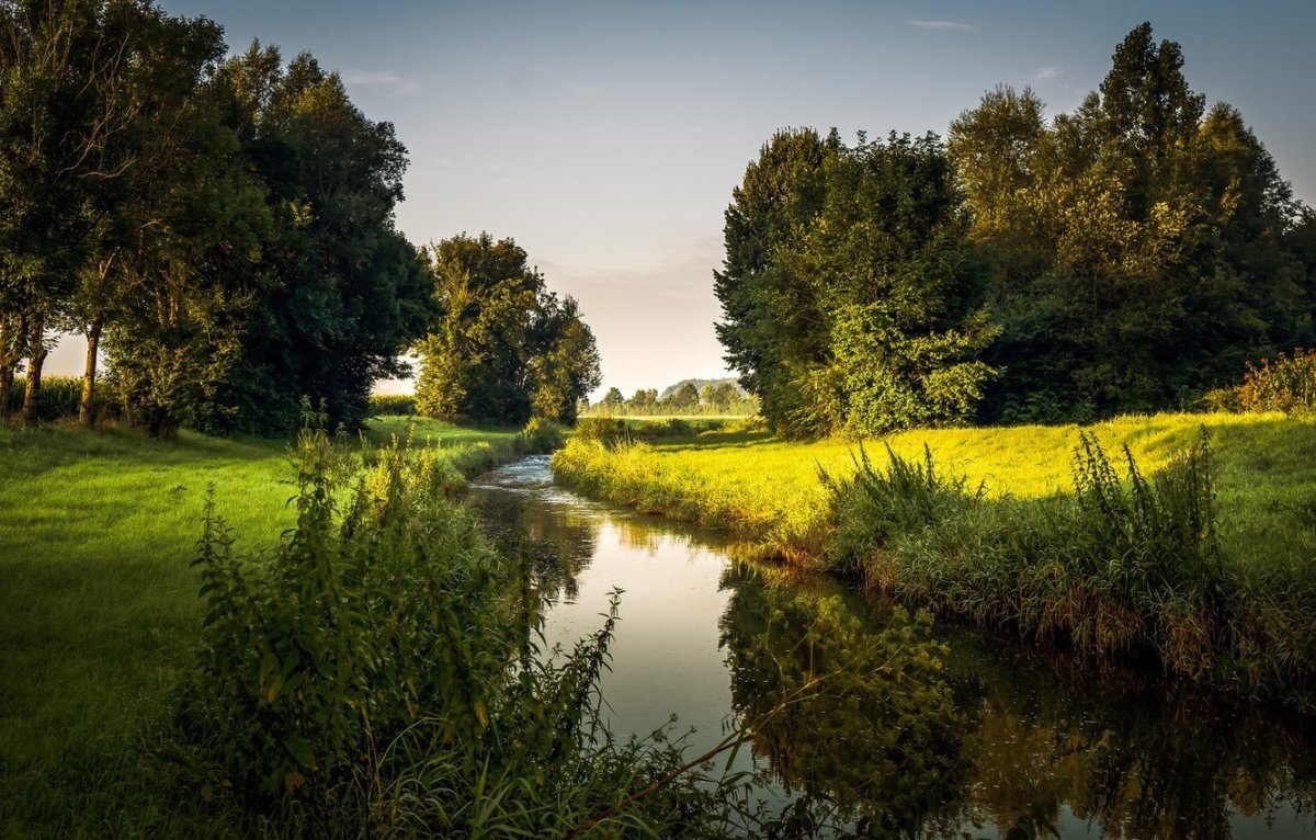 Деревенская природа