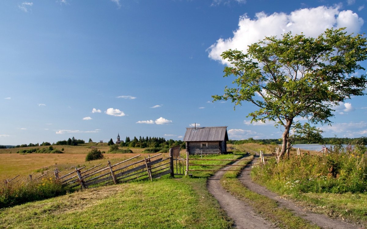 Деревня Кошкино Кингисеппский район