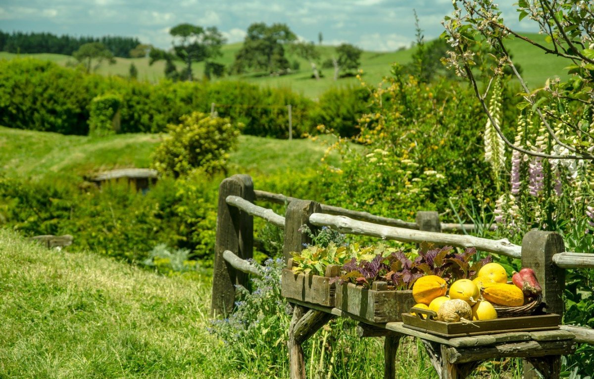 Сельский пейзаж