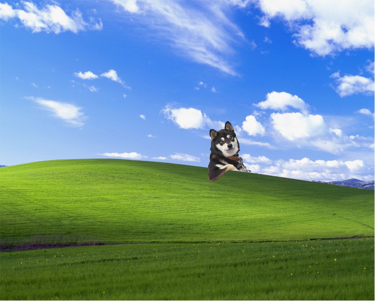 Безмятежность картинки красивые