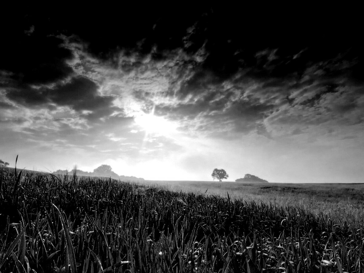 Фото безмятежность на рабочий стол