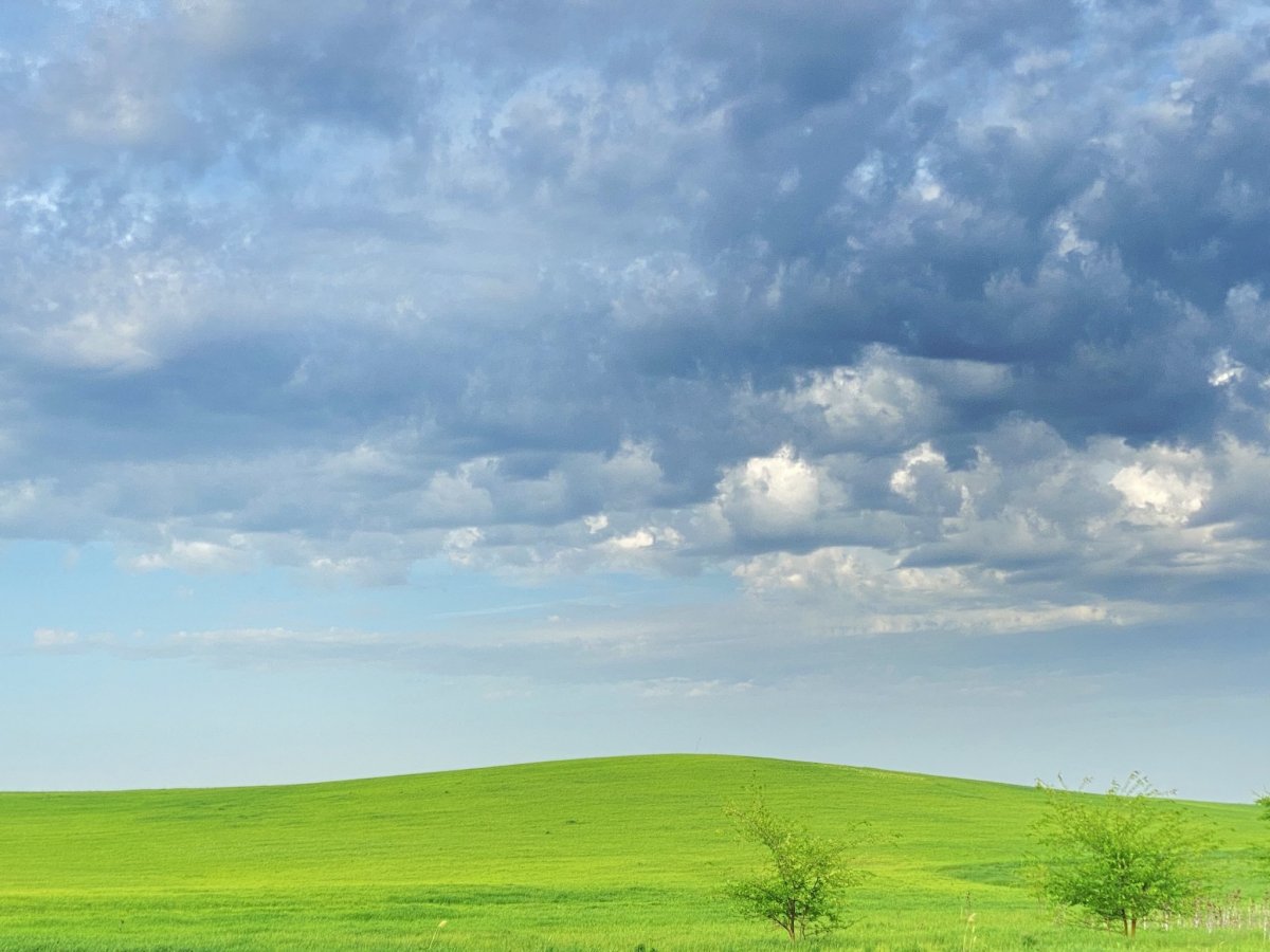 Закат на Поляне