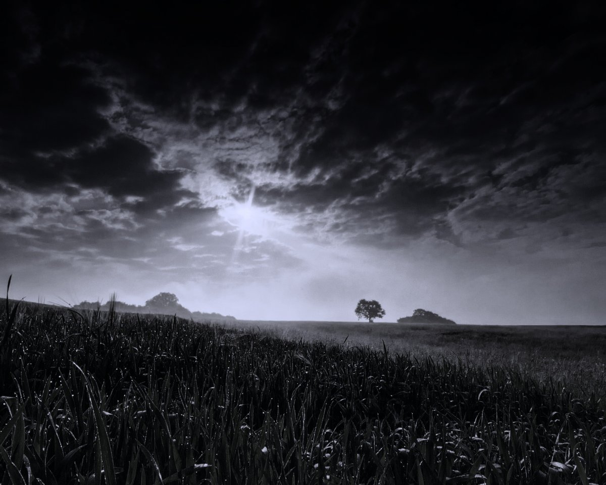 Безмятежность абстракция