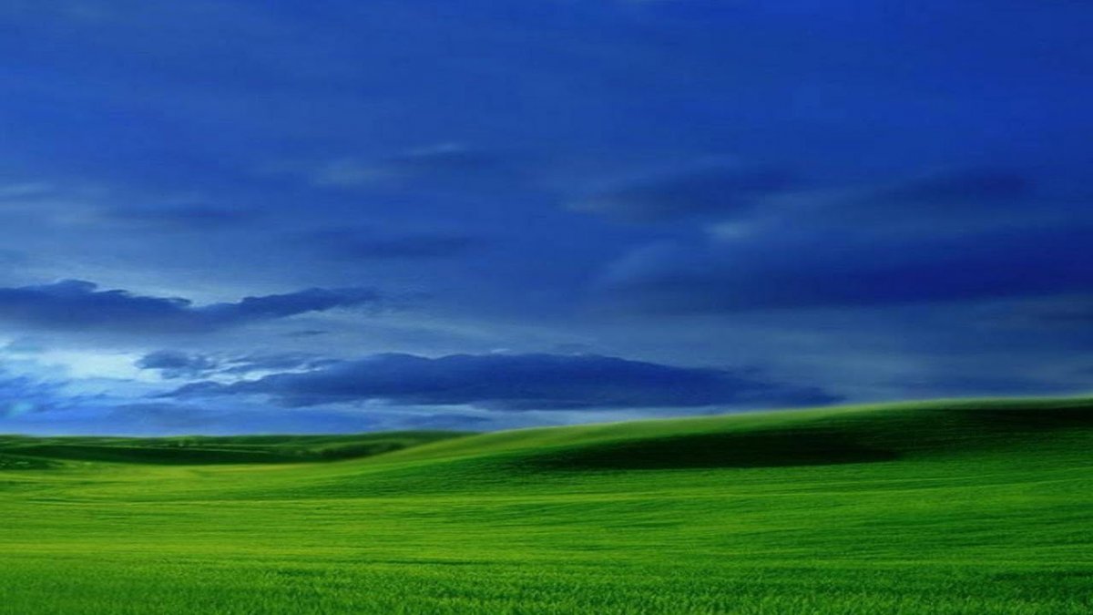 Поляна Windows XP