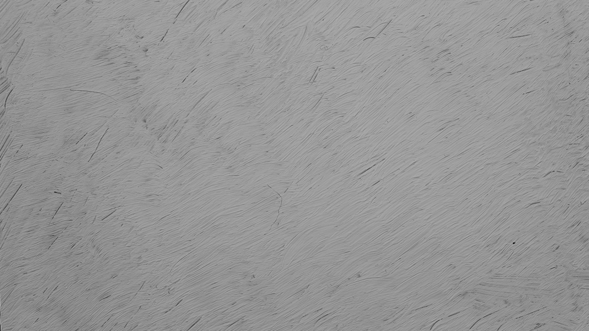 Белая штукатурка текстура бесшовная