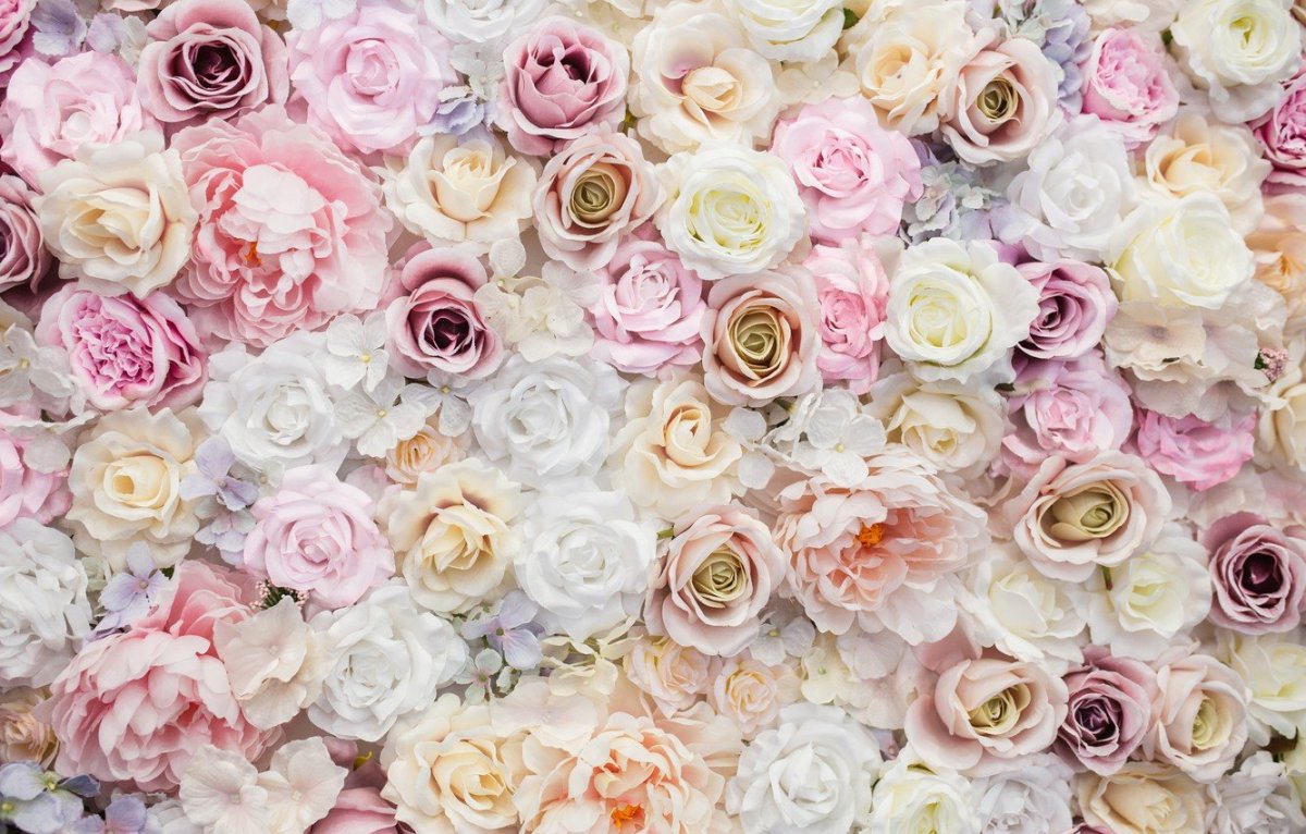 Нежный цветок в гипсофила