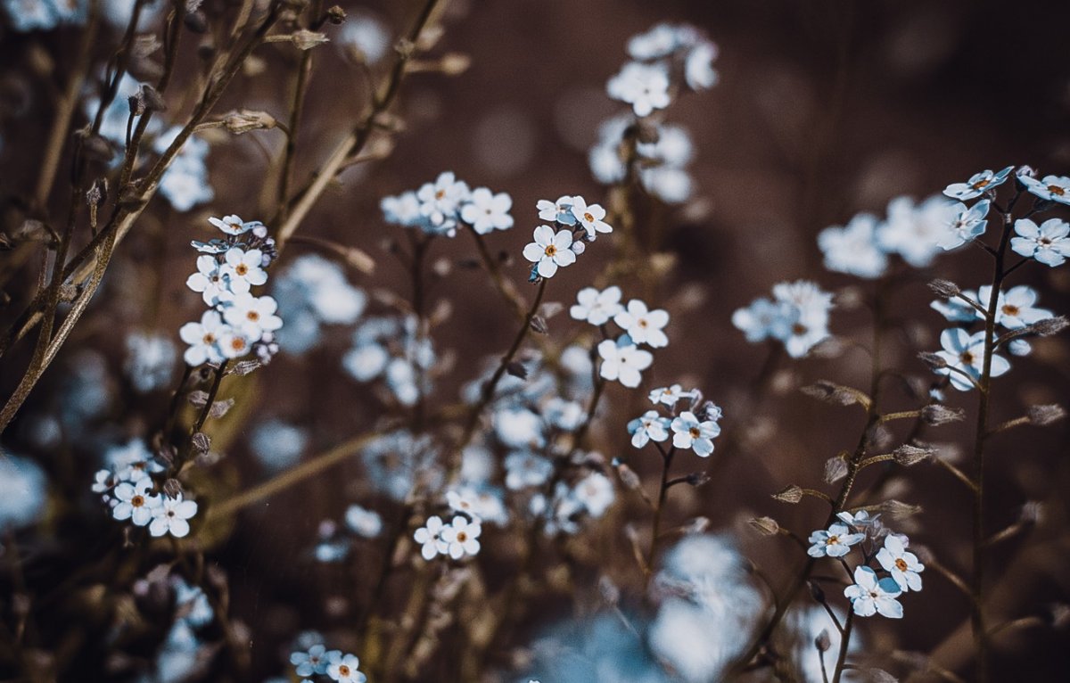 Фон для девочки