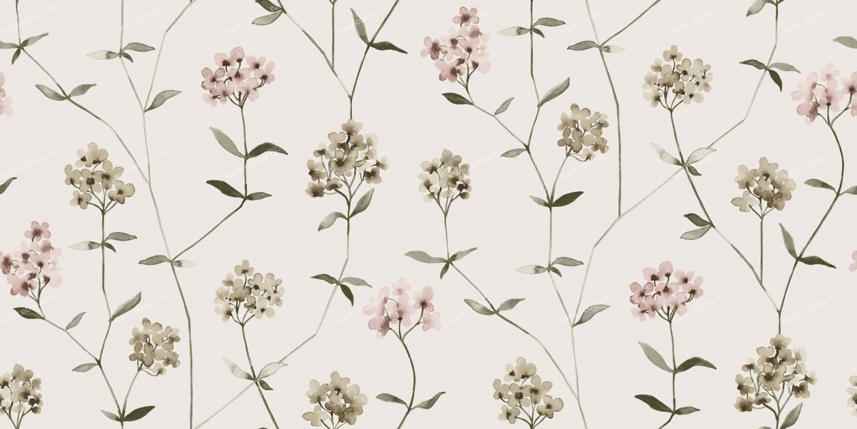 Обои на айфон 13 Pro Max оригинал белые цветы