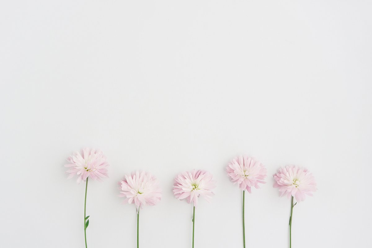 Фон в мелкий цветочек