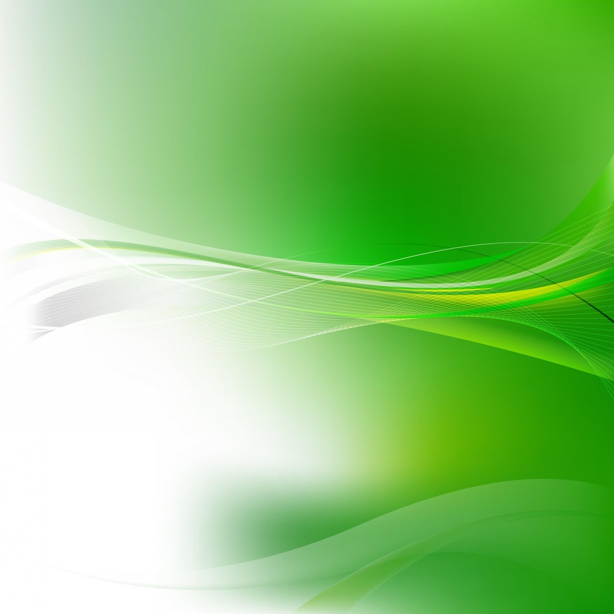 Зеленый фон для визитки