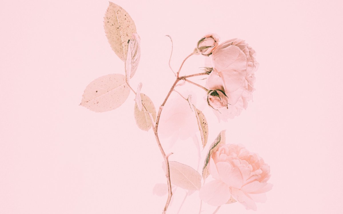 Обложки для актуального однотонные