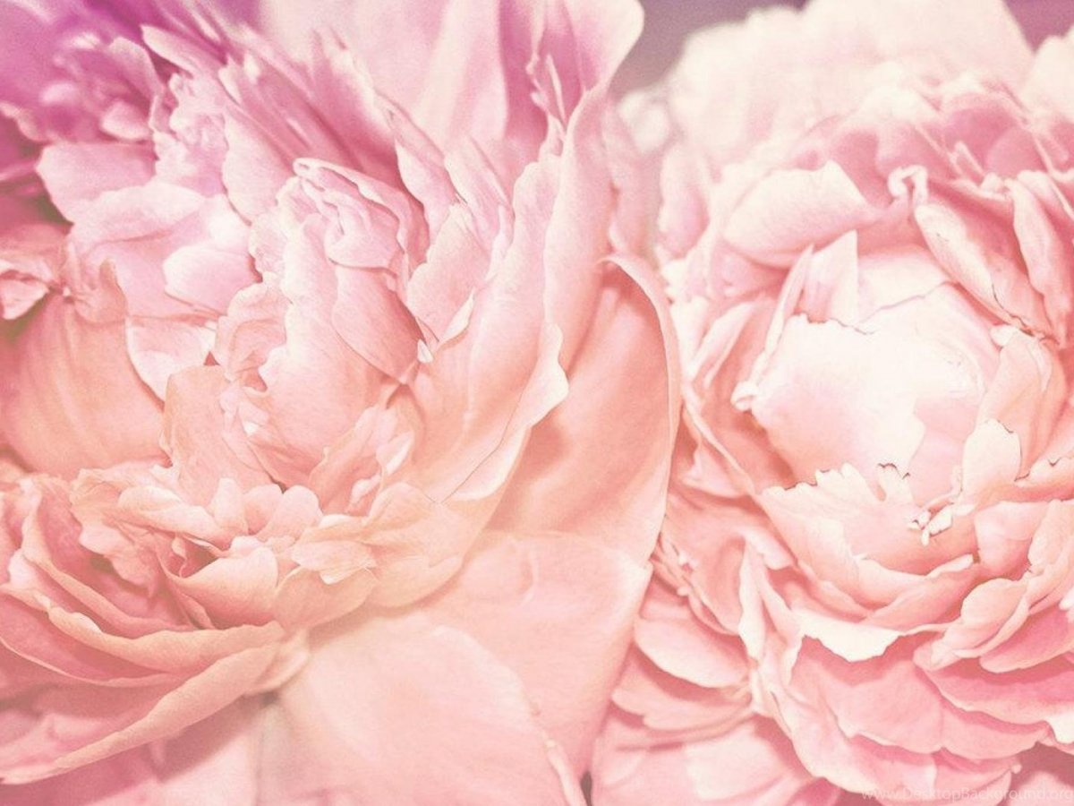 Розовые вещи для эстетики