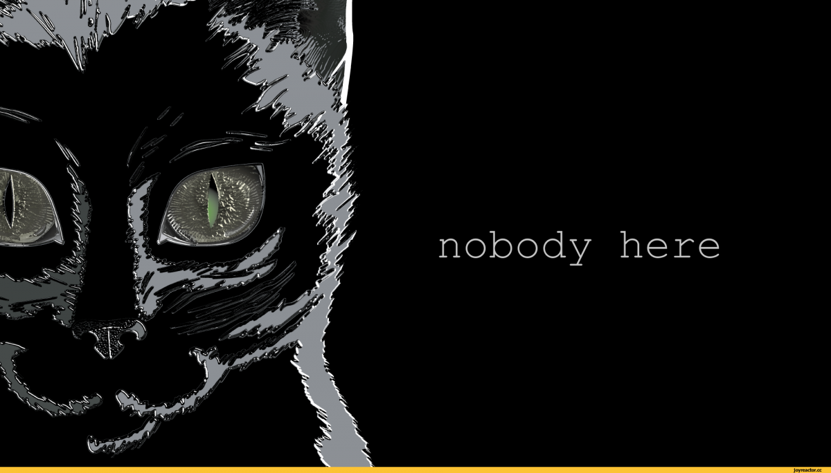 Кошка Минимализм