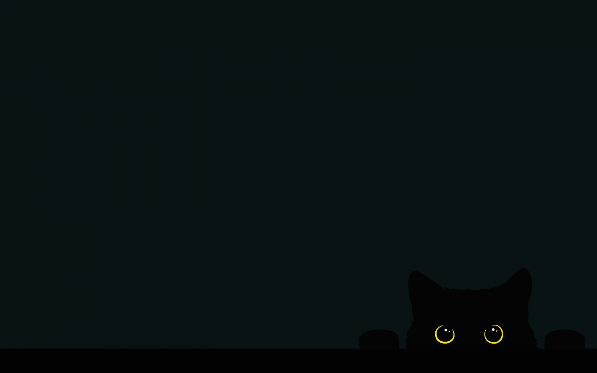 Кот выглядывает на черном фоне