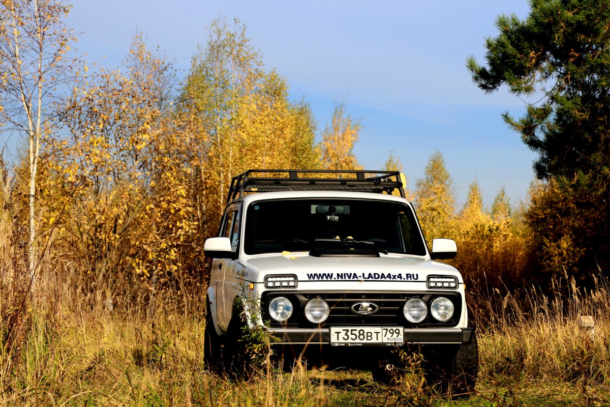 Нива осенью