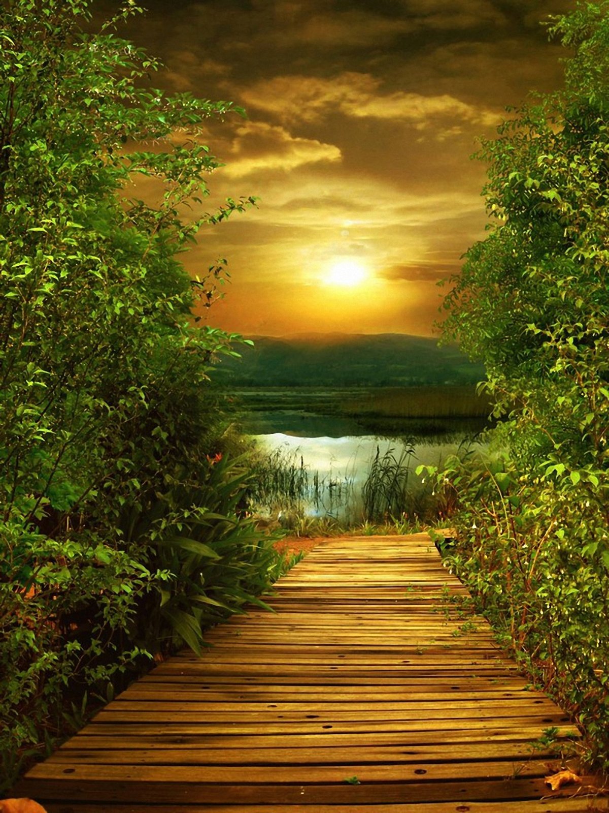 Цветочный фон для портфолио