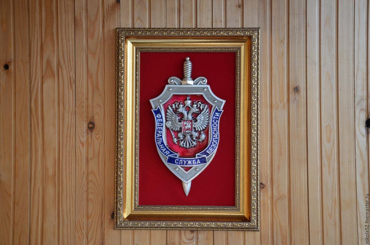 Щит и меч России