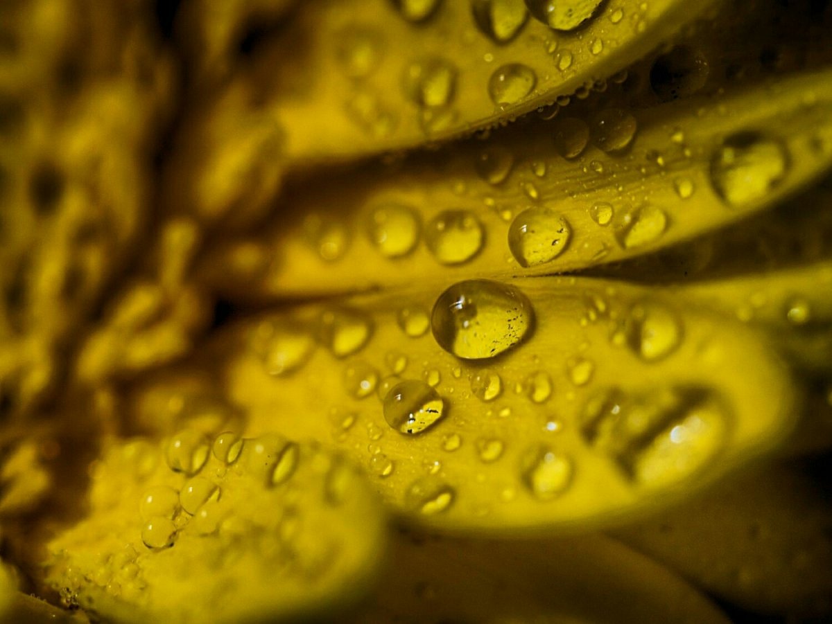 Красивые обои на рабочий стол